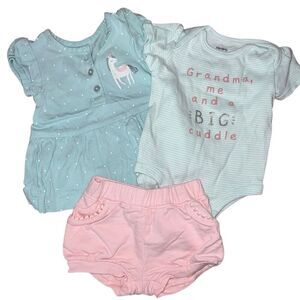 Baby girls clothing bundle
